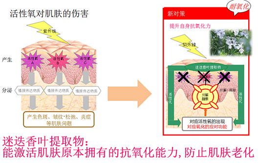 当前图片注释